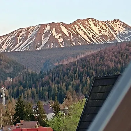 Willa Zolta Turnicka Zakopane Exterior photo