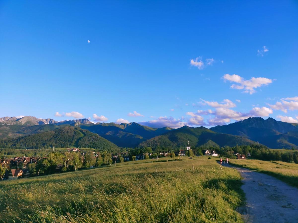 Zolta Turnicka Zakopane